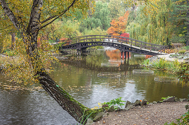 桥平静水色彩斑斓的秋天风景
