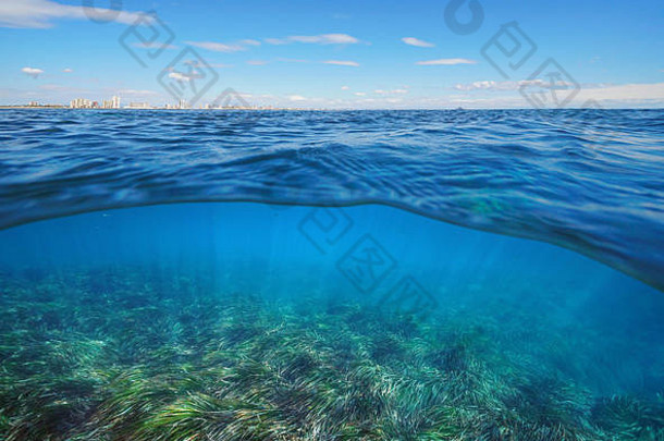 地中海海地平线建筑海王星海草水下分裂视图一半水表面漫画卡塔赫纳西班牙