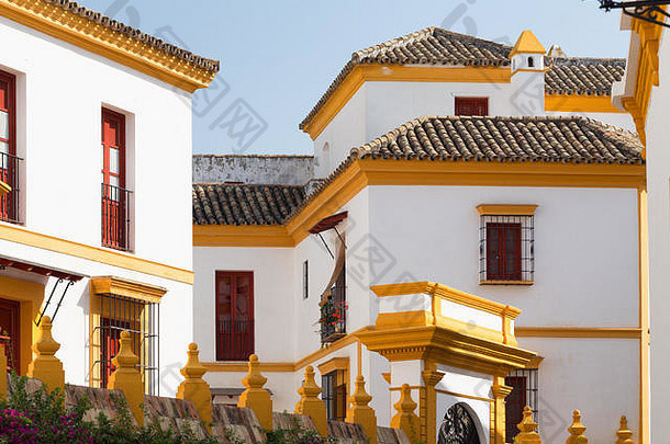 塞维利亚西班牙传统的颜色城市白色黄色的体系结构