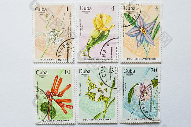 乌日哥罗德乌克兰约集合邮资邮票印刷古巴显示花野生花
