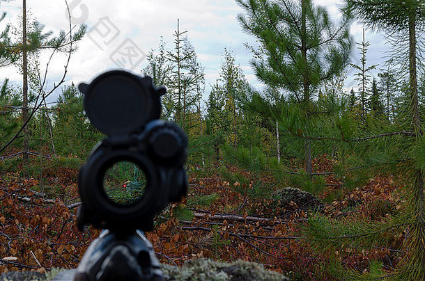 的目标红色的点视线驼鹿狩猎北瑞典