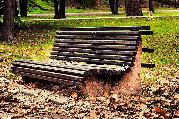 单木板凳上公园