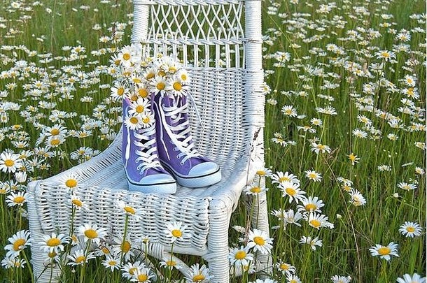 野生黛西花束<strong>紫色</strong>的高前运动鞋白色柳条椅子草地