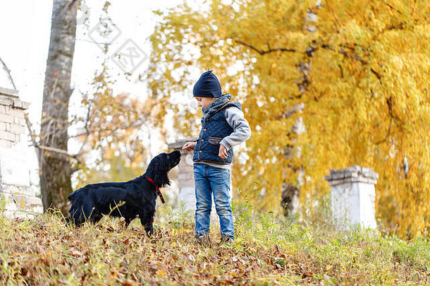快乐孩子黑色的俄罗斯猎犬公园明亮的秋天一天树黄色的树叶温暖的10月