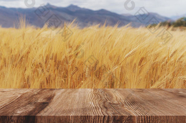 小麦耳朵场背景成熟的小麦作物木地板上