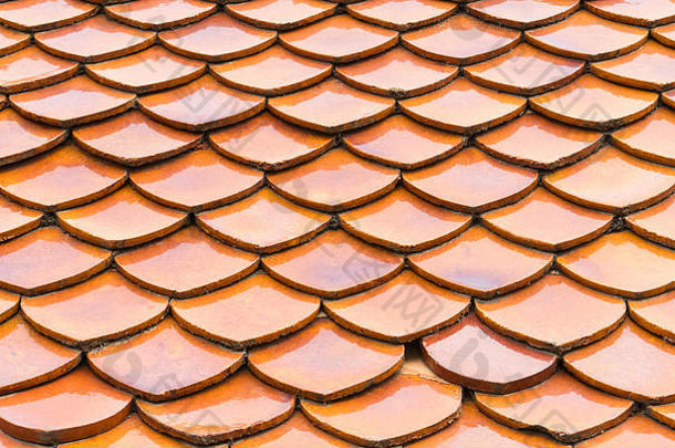 橙色鱼规模屋顶瓷砖模式摘要设计