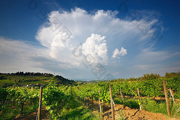 狂风暴雨的云葡萄园三吉米尼亚诺意大利