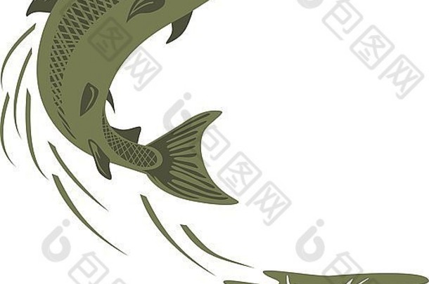 插图鳟鱼鱼复古的风格