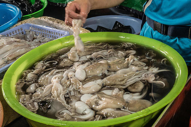 西哈努克城柬埔寨3月帕萨尔列伊市场特写镜头绿色盆地填满黑暗水白色小鱿鱼