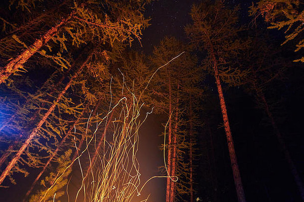 火花篝火晚上森林飞行天空火森林布满星星的天空树照亮光火