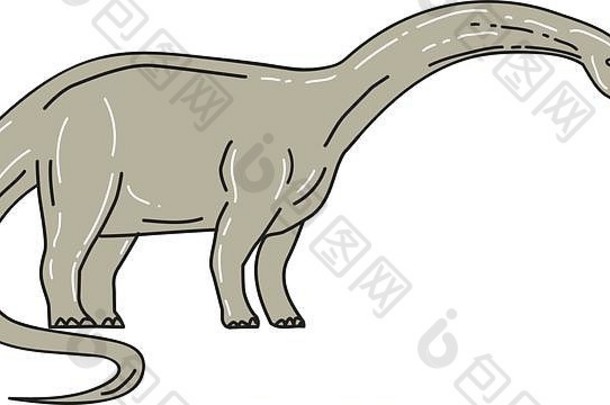 插图支龙意义雷声蜥蜴属巨大的四足动物蜥脚类动物恐龙住晚些时候侏罗纪时代
