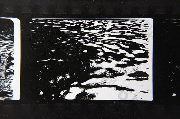 细古董联系打印黑色的白色极端的摄影群<strong>鸭子游泳</strong>池塘