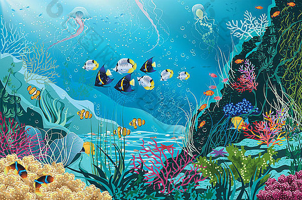 插图水下景观水植物游泳热带鱼