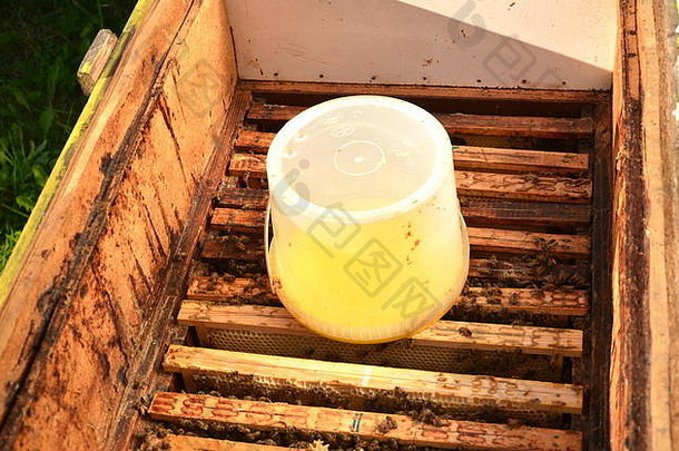内部蜂巢容器甜蜜的糖浆喂养蜜蜂