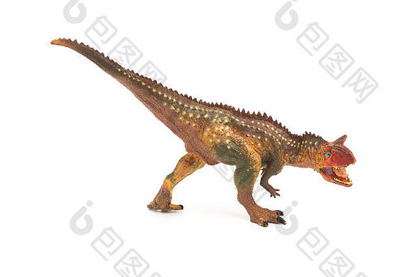 一边视图棕色（的）carnotaurus玩具白色背景