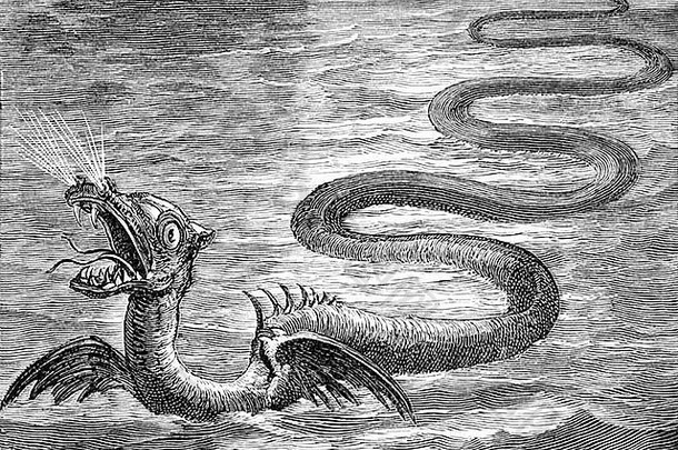 插图日期稀奇的描述海蛇