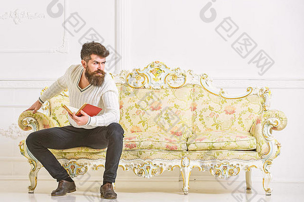 男人。胡子胡子坐在巴洛克式的风格沙发持有书白色<strong>墙</strong>背景男子气概严格的脸完成了阅读书反射文学概念的家伙思考文学