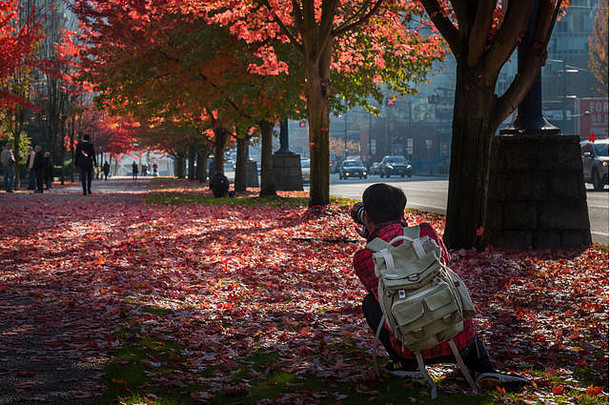 年轻的摄影师捕捉秋天魔法市中心温哥华