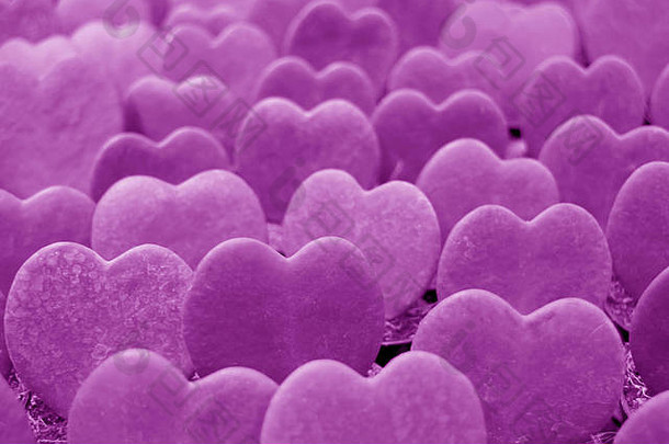 排球兰凯瑞lucky-heart植物充满活力的紫色的颜色背景横幅