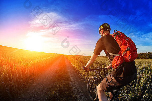 后视图骑自行车的人骑山自行车小道美丽的天空
