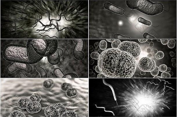 显微镜关闭细菌拼贴画图像