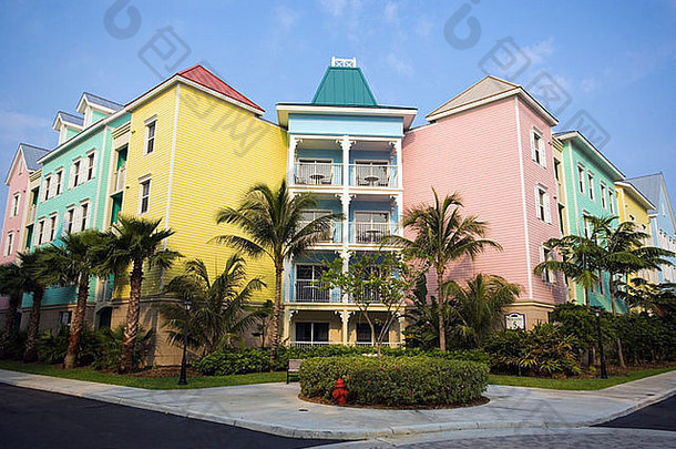 天堂岛巴哈马群岛色彩斑斓的建筑热带棕榈树