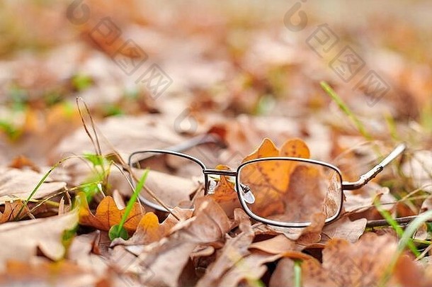 眼镜秋天树叶失去了眼镜象征突然愿景损失维生素缺乏年龄