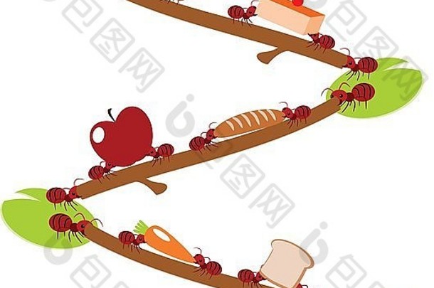 红色的蚂蚁选择食物团队合作权力概念插图