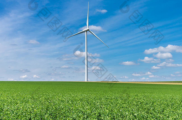 风涡轮机绿色小麦场生产权力可再生能源