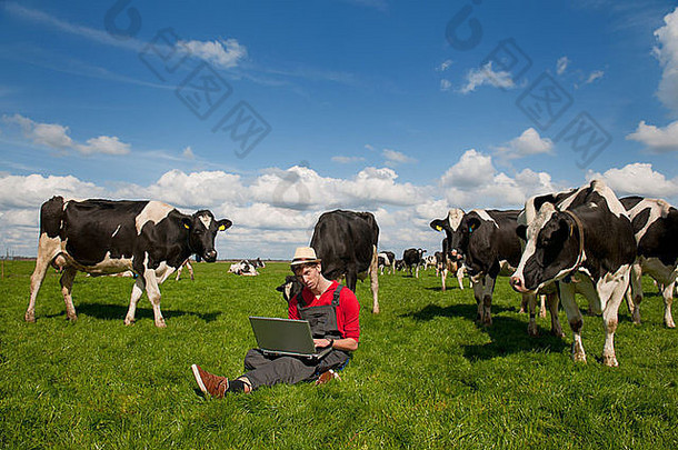 年轻的农民工作移动PC农场场黑色的白色牛