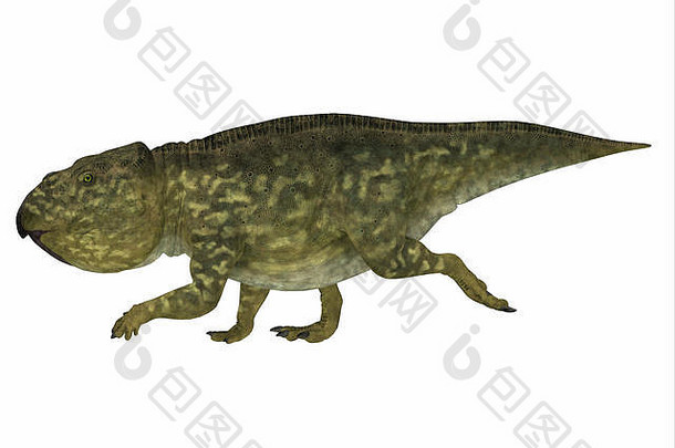 乌达角龙角龙类食草恐龙住蒙古白垩纪期
