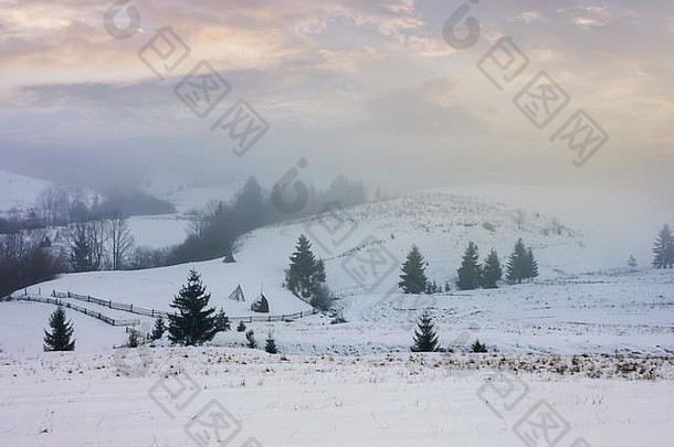 冬天农村多雾的早....神秘的风景树雪山坡上下美丽的多云的天空
