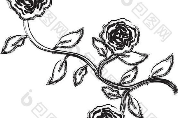 玫瑰树叶装饰图标