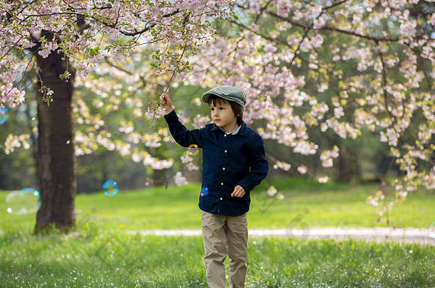 可爱的学前教育孩子们男孩兄弟玩小鸡樱桃开花花园