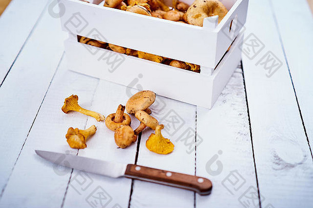 美味的新鲜的乳菇属蘑菇直森林箱刀白色木表格