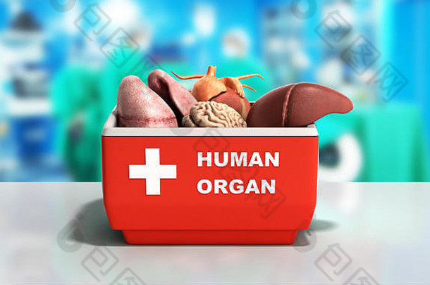 器官运输概念开放人类器官冰箱盒子红色的渲染医疗背景