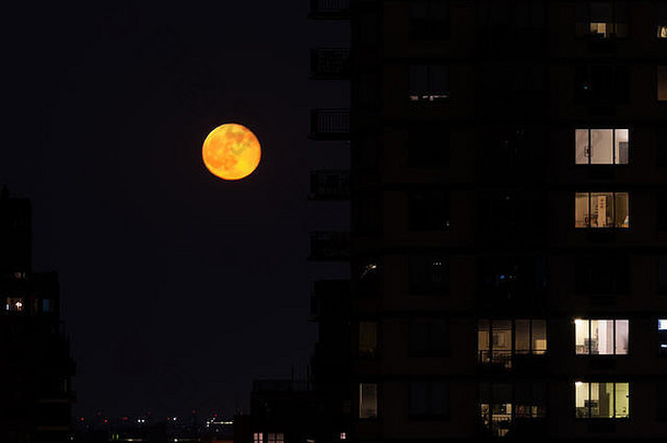 红色的月亮屋顶阳台上东一边纽约