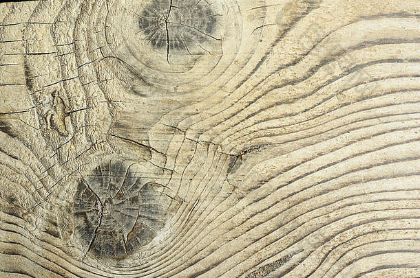 详细的表面冷杉板材冷杉属阿尔芭木纹理自然结