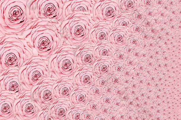 玫瑰光粉红色的背景