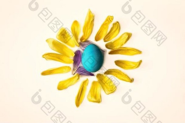 蓝色的复活节蛋包围黄色的花花瓣形状太阳孤立的白色背景复活节春天概念