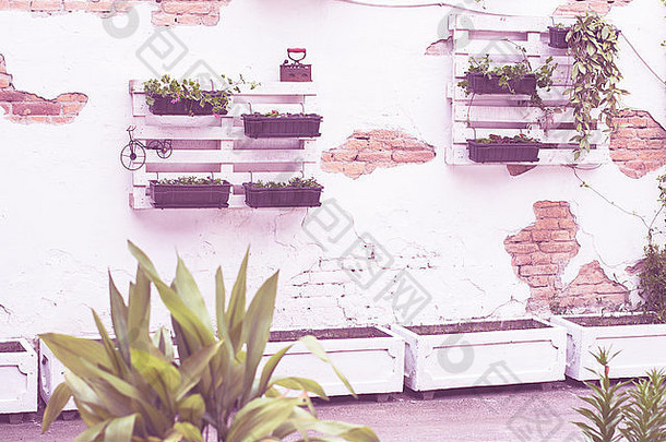 白色存储工业托盘园艺墙装饰架子上花盆对象