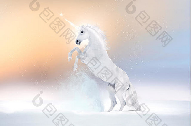 白色马unikorn饲养雪