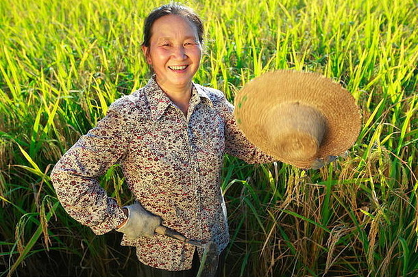 快乐亚洲农民肖像大米帕迪大米收获女农民持有大米微笑场