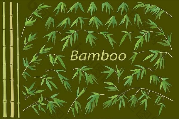 竹子茎绿色叶子