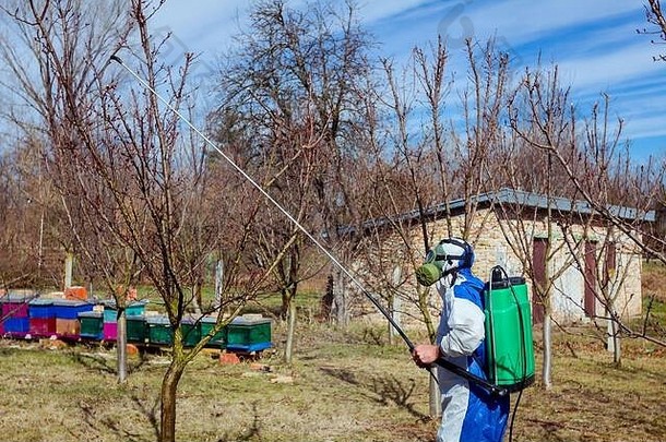农民保护服装气体面具喷雾水果树果园长喷雾器保护化学物质真菌疾病