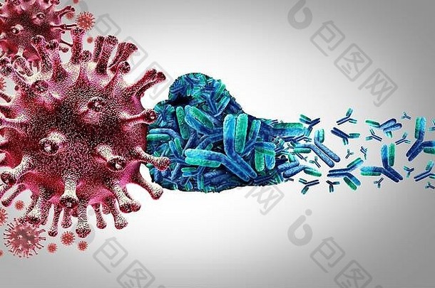 病毒抗体免疫球蛋白概念抗体攻击会传染的病毒细胞病原体插图