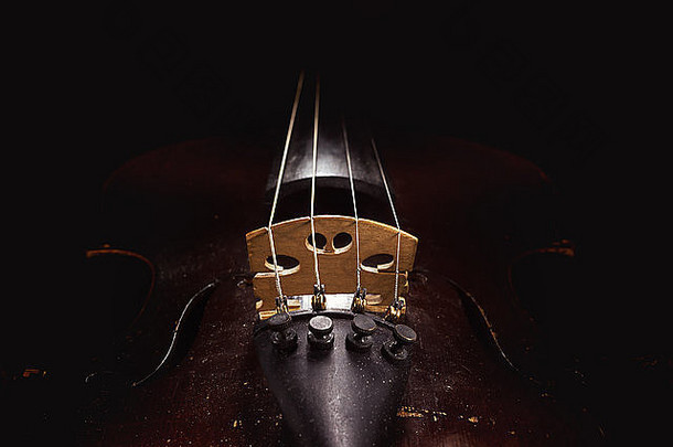 小提琴细节身体部分脖子