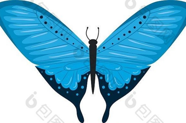 美丽的蝴蝶飞行图标