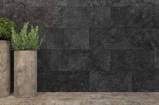 圆柱混凝土花锅阁楼式植物站黑色的墙前面视图复制空间呈现插图
