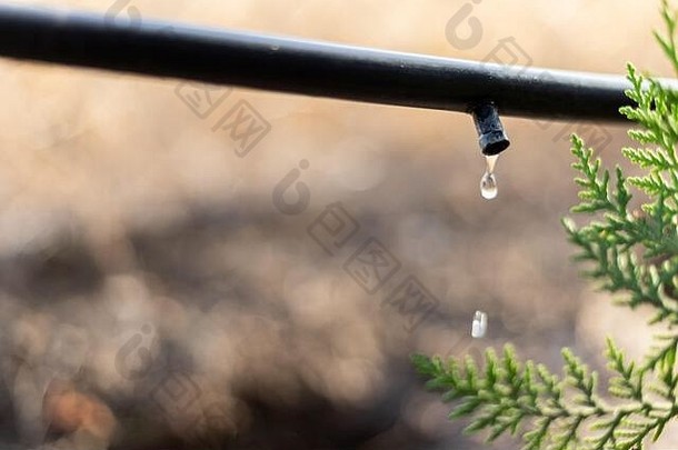 滴灌溉系统关闭